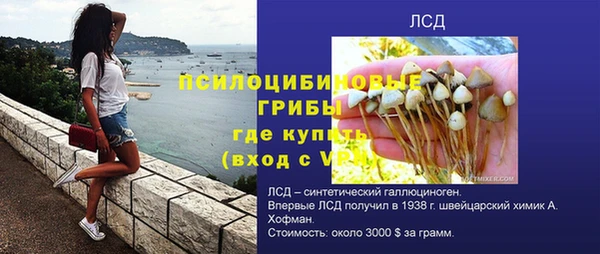 кокс Алексин