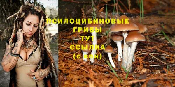 apvp Алексеевка