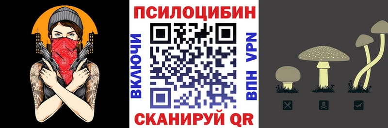 цены наркотик  Краснознаменск  Галлюциногенные грибы Magic Shrooms 
